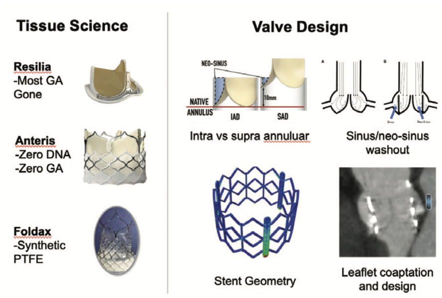 2.2 TAVR Durability What Is It Now and What Do We Need?